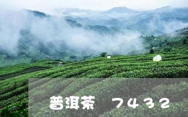 普洱茶 7432/2023041371827